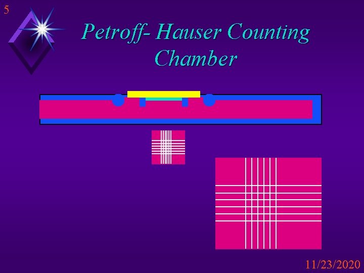 5 Petroff- Hauser Counting Chamber 11/23/2020 