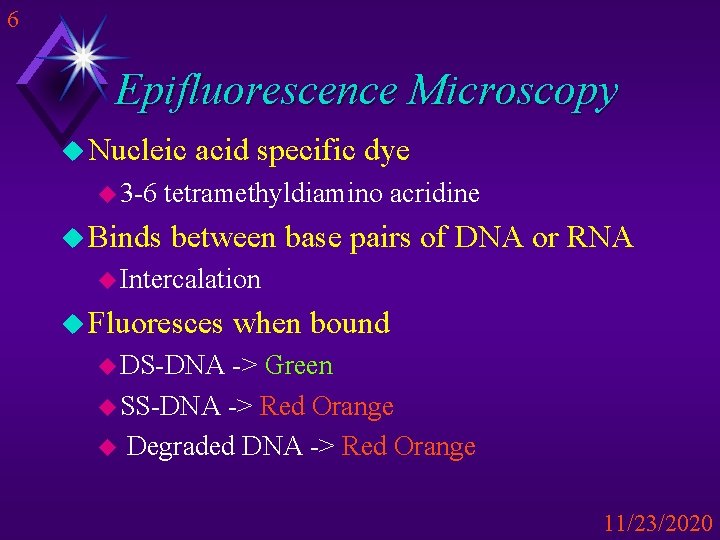 6 Epifluorescence Microscopy u Nucleic u 3 -6 u Binds acid specific dye tetramethyldiamino