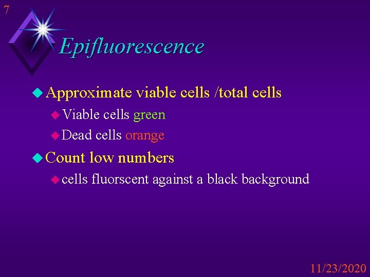 7 Epifluorescence u Approximate viable cells /total cells u Viable cells green u Dead