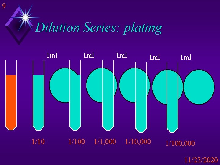 9 Dilution Series: plating 1 ml 1/100 1 ml 1/1, 000 1 ml 1/100,