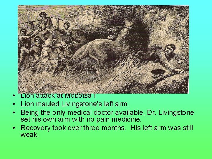  • Lion attack at Mobotsa ! • Lion mauled Livingstone’s left arm. •