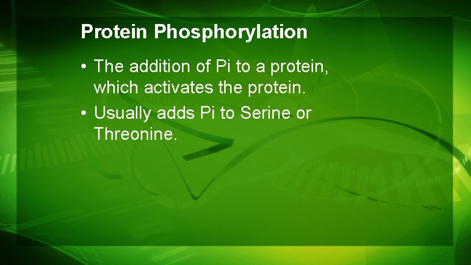 Protein Phosphorylation • The addition of Pi to a protein, which activates the protein. Protein Phosphorylation • The addition of Pi to a protein, which activates the protein.