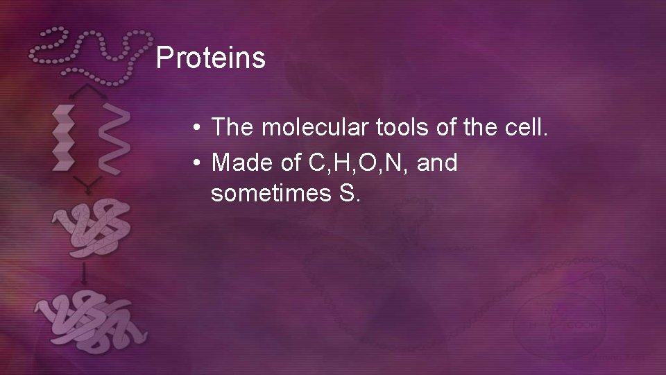 Proteins • The molecular tools of the cell. • Made of C, H, O, Proteins • The molecular tools of the cell. • Made of C, H, O,