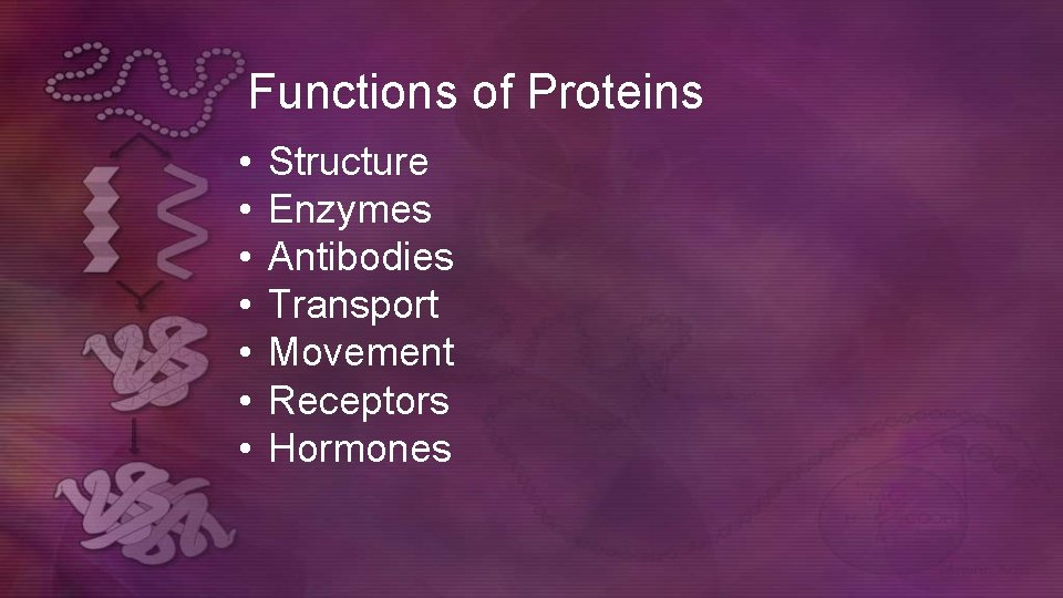Functions of Proteins • • Structure Enzymes Antibodies Transport Movement Receptors Hormones  Functions of Proteins • • Structure Enzymes Antibodies Transport Movement Receptors Hormones