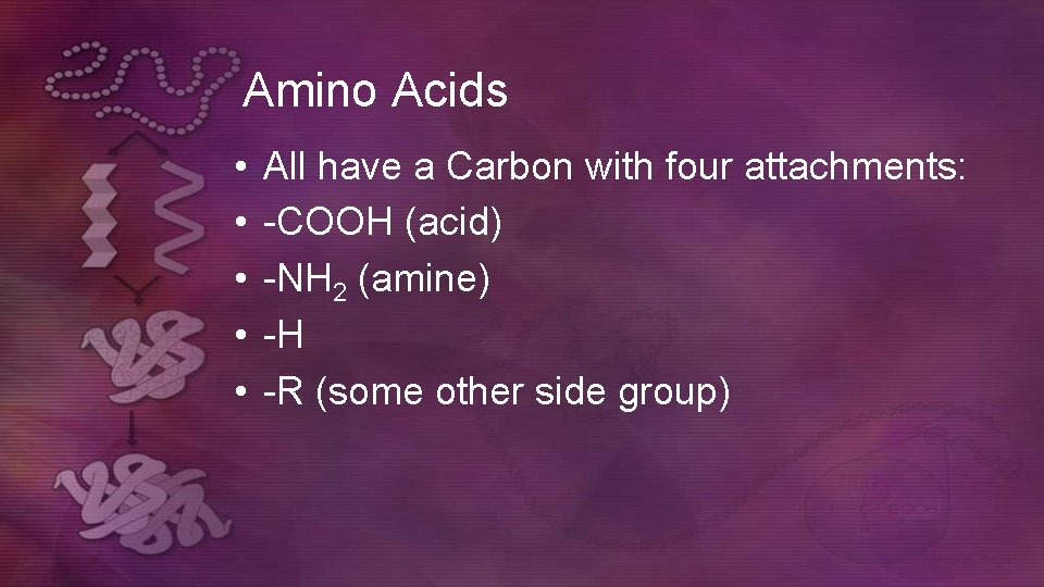 Amino Acids • • • All have a Carbon with four attachments: -COOH (acid) Amino Acids • • • All have a Carbon with four attachments: -COOH (acid)