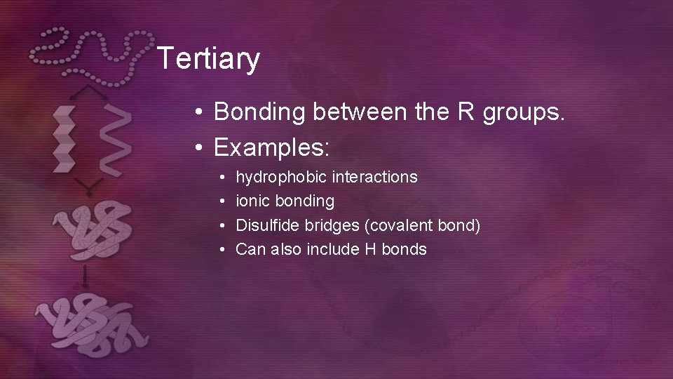 Tertiary • Bonding between the R groups. • Examples: • • hydrophobic interactions ionic Tertiary • Bonding between the R groups. • Examples: • • hydrophobic interactions ionic