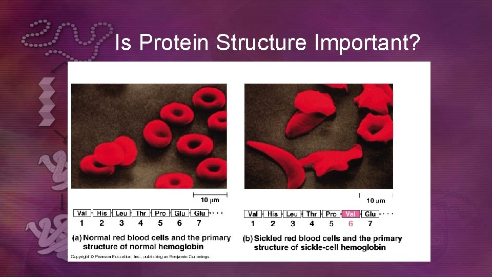 Is Protein Structure Important?  Is Protein Structure Important?