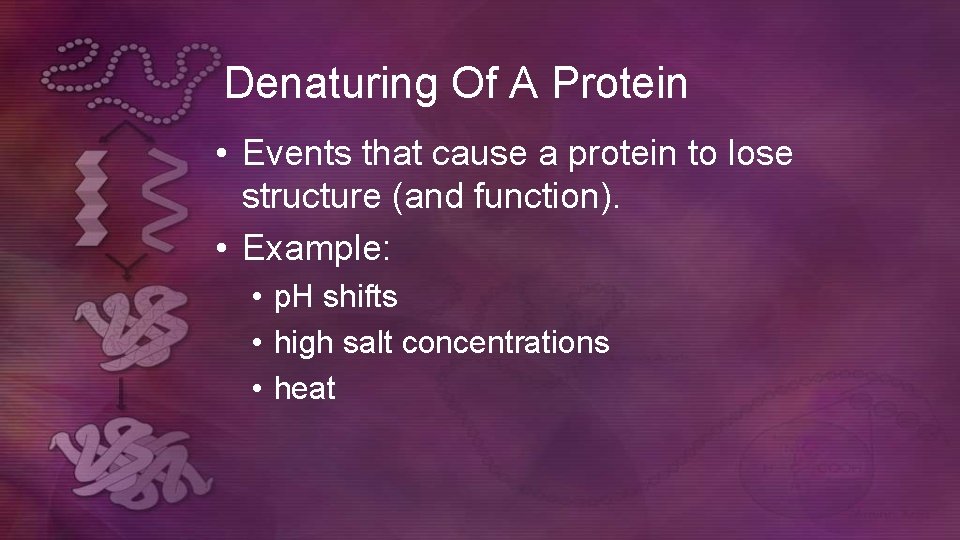 Denaturing Of A Protein • Events that cause a protein to lose structure (and Denaturing Of A Protein • Events that cause a protein to lose structure (and