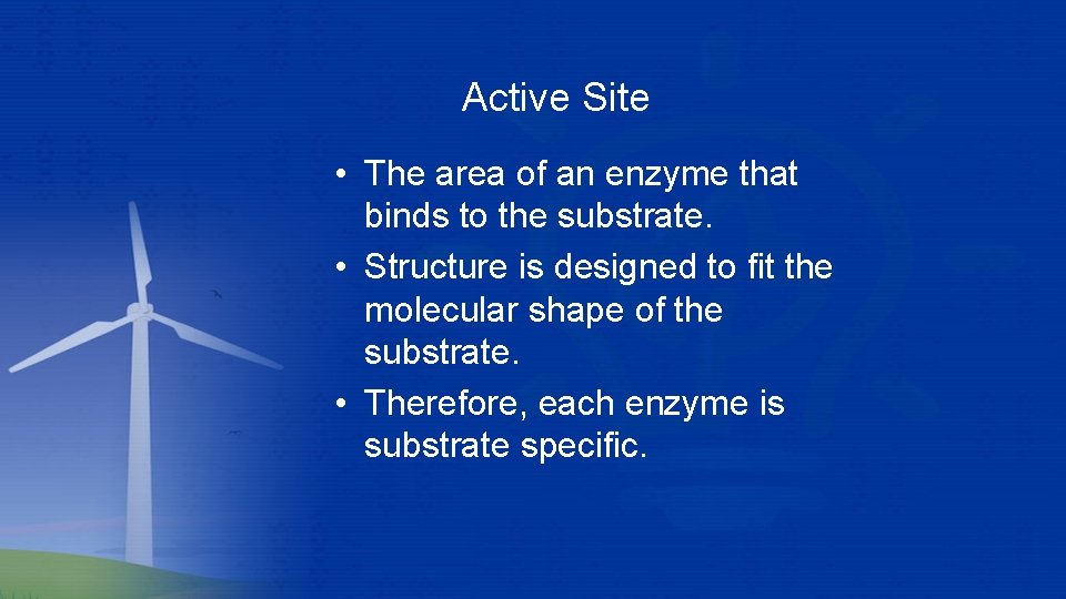 Active Site • The area of an enzyme that binds to the substrate. • Active Site • The area of an enzyme that binds to the substrate. •