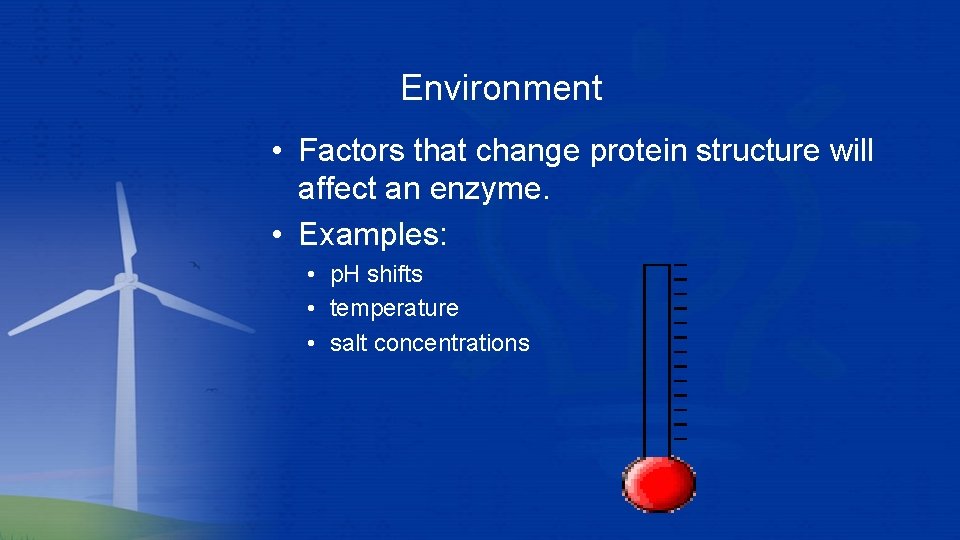 Environment • Factors that change protein structure will affect an enzyme. • Examples: • Environment • Factors that change protein structure will affect an enzyme. • Examples: •