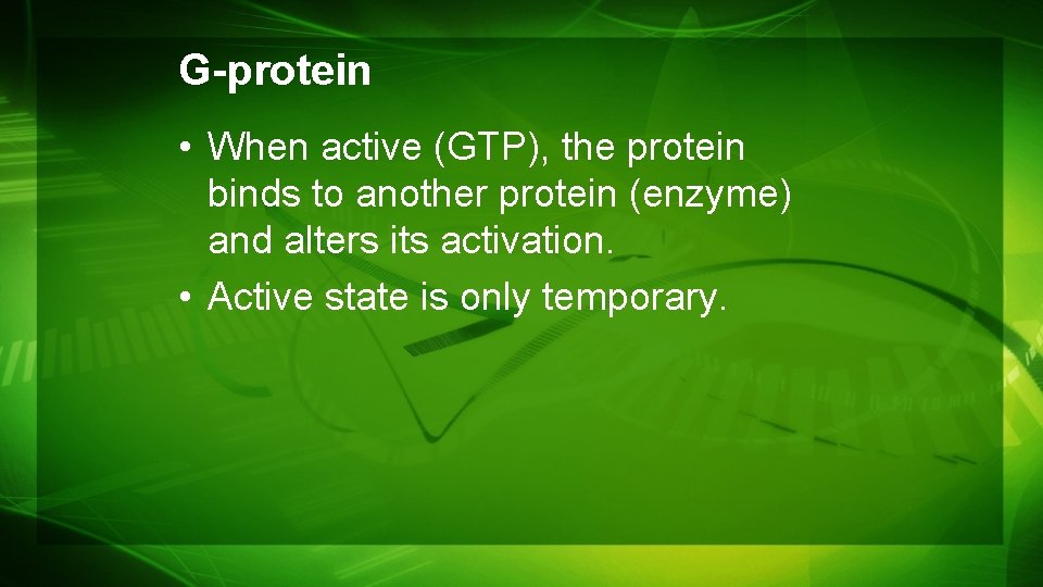 G-protein • When active (GTP), the protein binds to another protein (enzyme) and alters G-protein • When active (GTP), the protein binds to another protein (enzyme) and alters