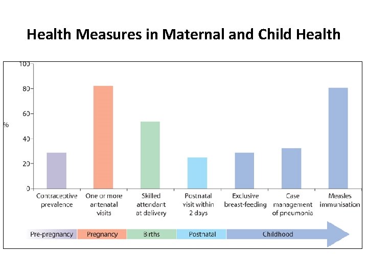 Health Measures in Maternal and Child Health 