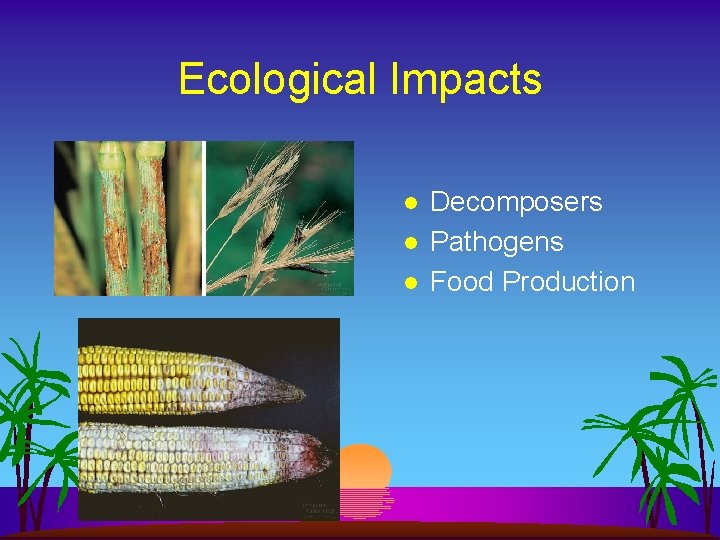 Ecological Impacts l l l Decomposers Pathogens Food Production 