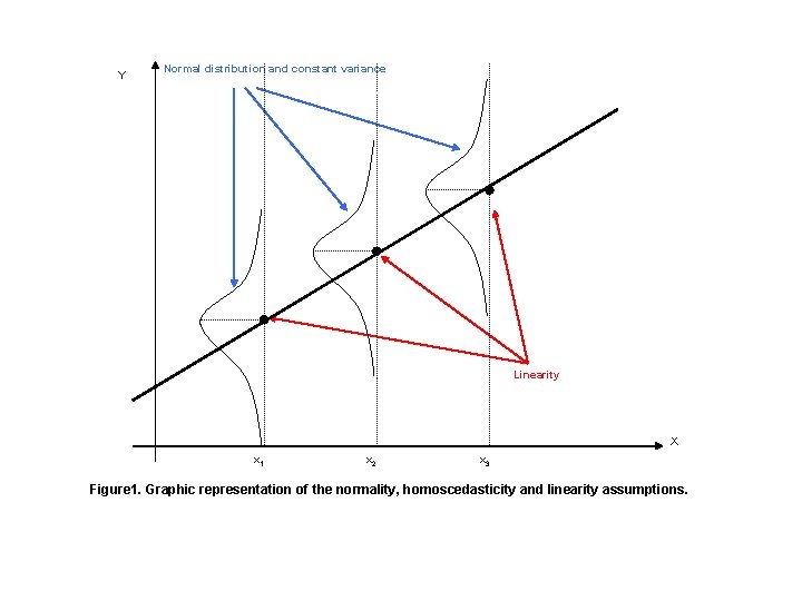 Y Normal distribution and constant variance Linearity X x 1 x 2 x 3