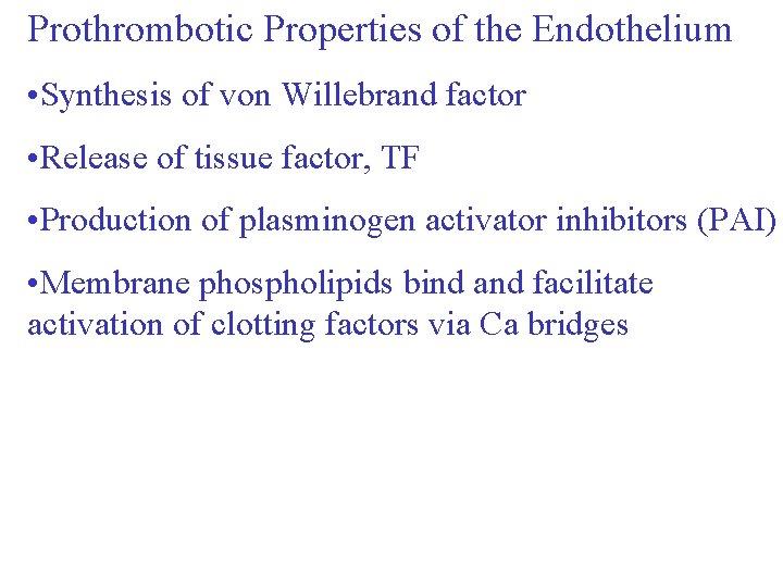 Prothrombotic Properties of the Endothelium • Synthesis of von Willebrand factor • Release of