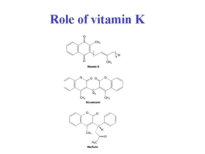 Role of vitamin K 