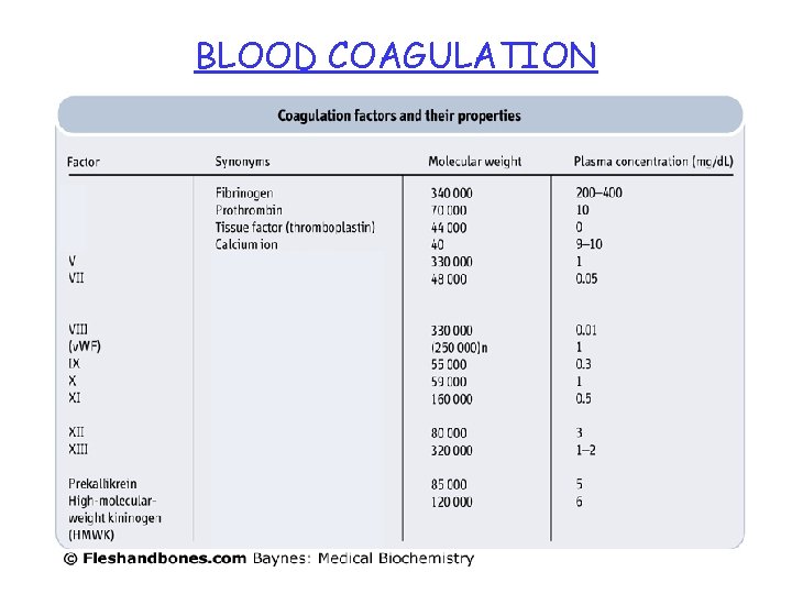 BLOOD COAGULATION 