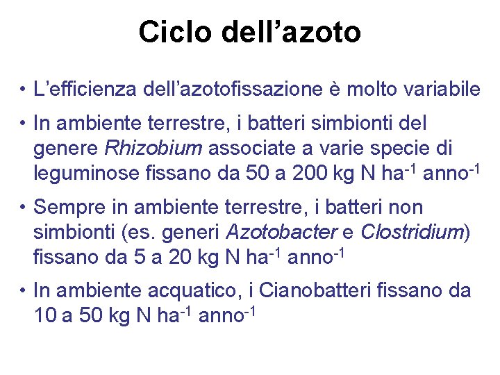 Ciclo dell’azoto • L’efficienza dell’azotofissazione è molto variabile • In ambiente terrestre, i batteri