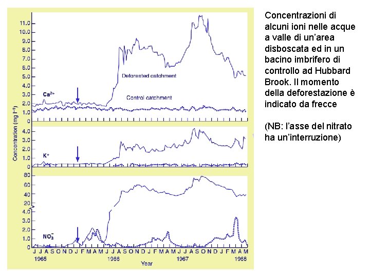 Concentrazioni di alcuni ioni nelle acque a valle di un’area disboscata ed in un