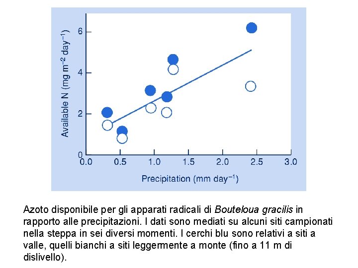 Azoto disponibile per gli apparati radicali di Bouteloua gracilis in rapporto alle precipitazioni. I