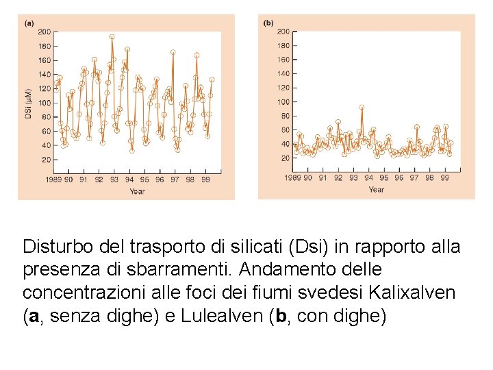 Disturbo del trasporto di silicati (Dsi) in rapporto alla presenza di sbarramenti. Andamento delle