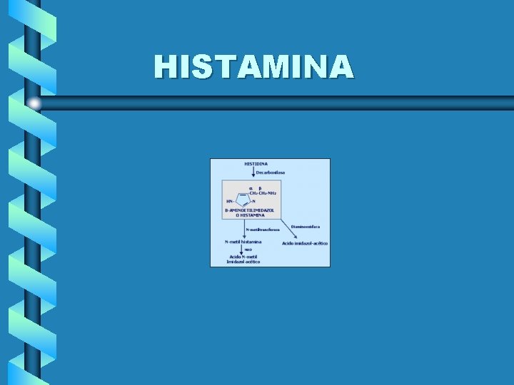 HISTAMINA 