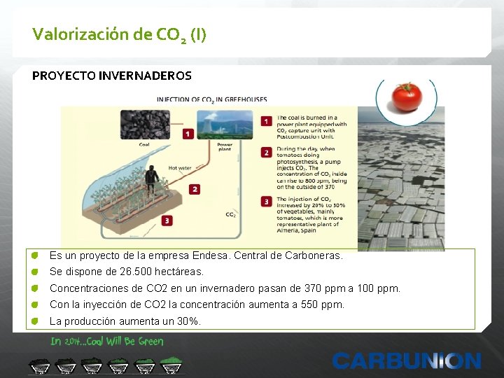 Valorización de CO 2 (I) PROYECTO INVERNADEROS Es un proyecto de la empresa Endesa.