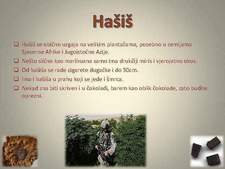 Hašiš q Hašiš se obično uzgaja na velikim plantažama, posebno u zemljama Sjeverne Afrike