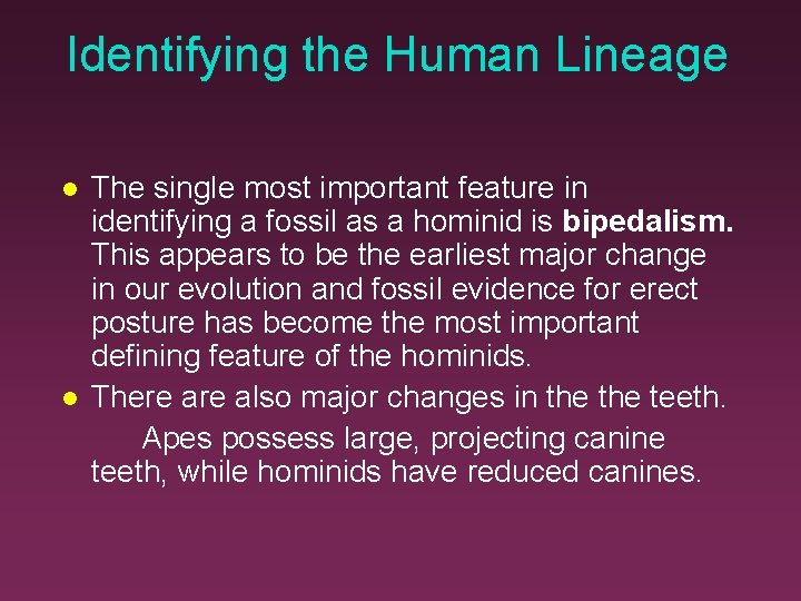 Identifying the Human Lineage The single most important feature in identifying a fossil as