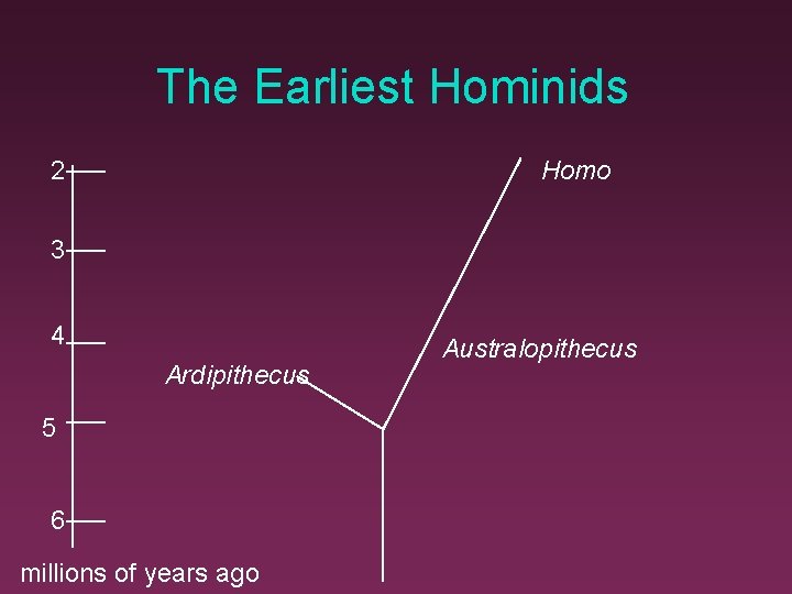 The Earliest Hominids 2 Homo 3 4 Ardipithecus 5 6 millions of years ago