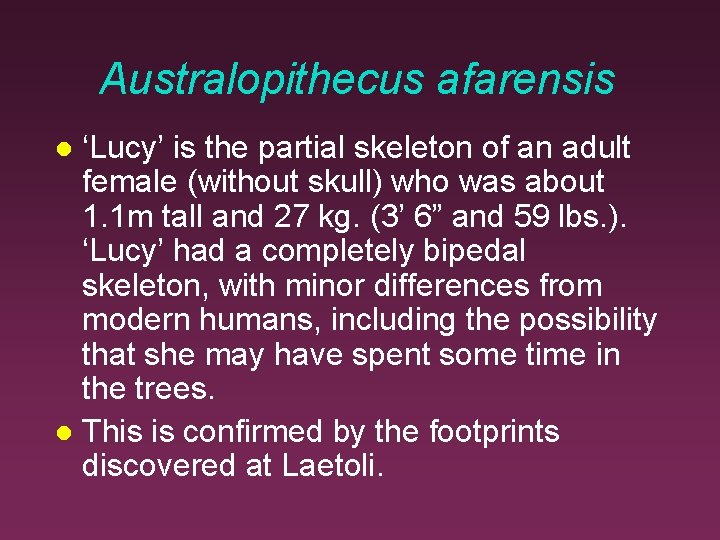 Australopithecus afarensis ‘Lucy’ is the partial skeleton of an adult female (without skull) who