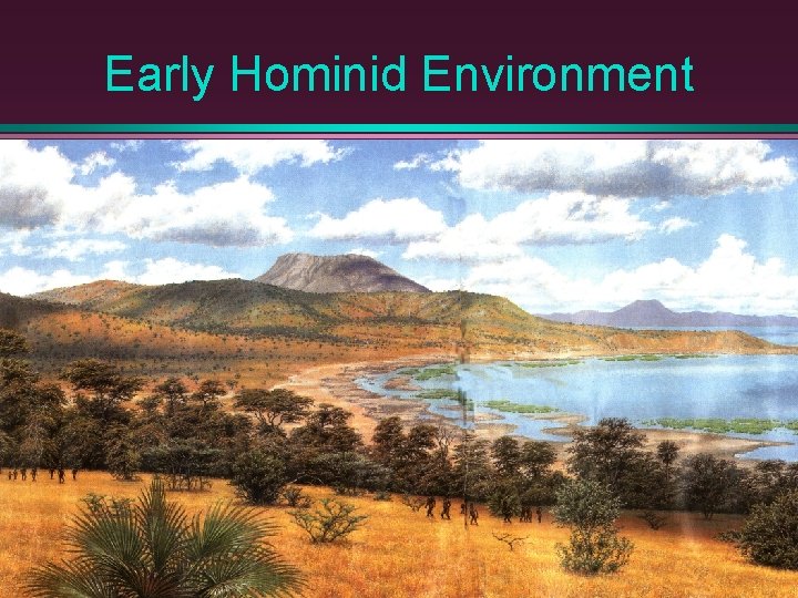 Early Hominid Environment 