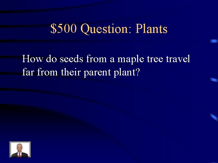 $500 Question: Plants How do seeds from a maple tree travel far from their