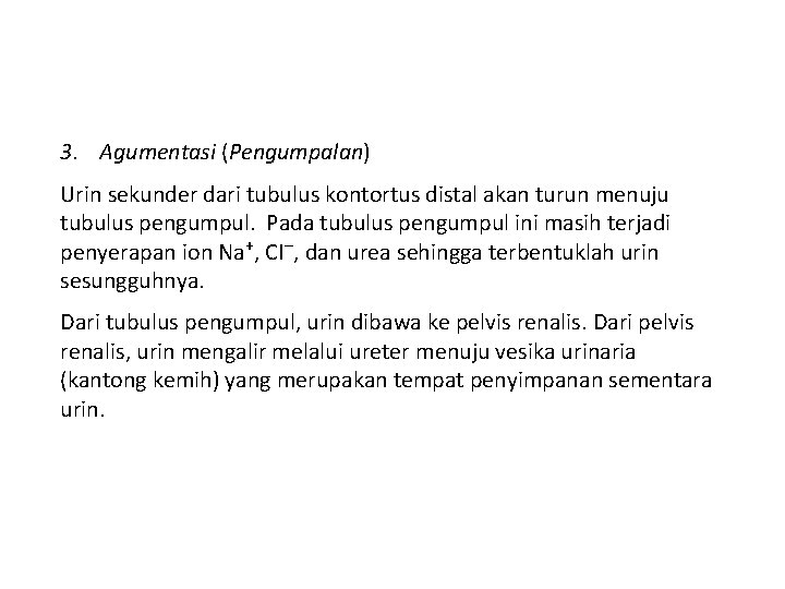 3. Agumentasi (Pengumpalan) Urin sekunder dari tubulus kontortus distal akan turun menuju tubulus pengumpul.