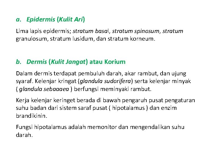 a. Epidermis (Kulit Ari) Lima lapis epidermis; stratum basal, stratum spinosum, stratum granulosum, stratum