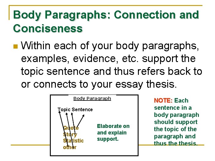 Body Paragraphs: Connection and Conciseness n Within each of your body paragraphs, examples, evidence,