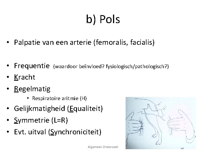 b) Pols • Palpatie van een arterie (femoralis, facialis) • Frequentie • Kracht •