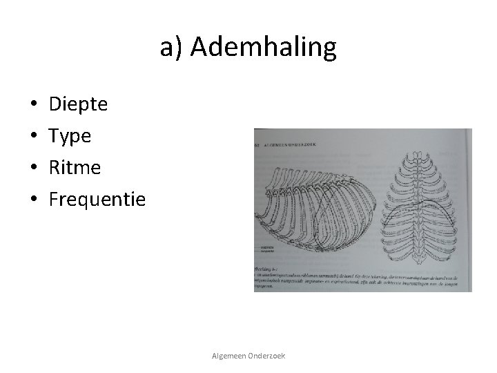 a) Ademhaling • • Diepte Type Ritme Frequentie Algemeen Onderzoek 