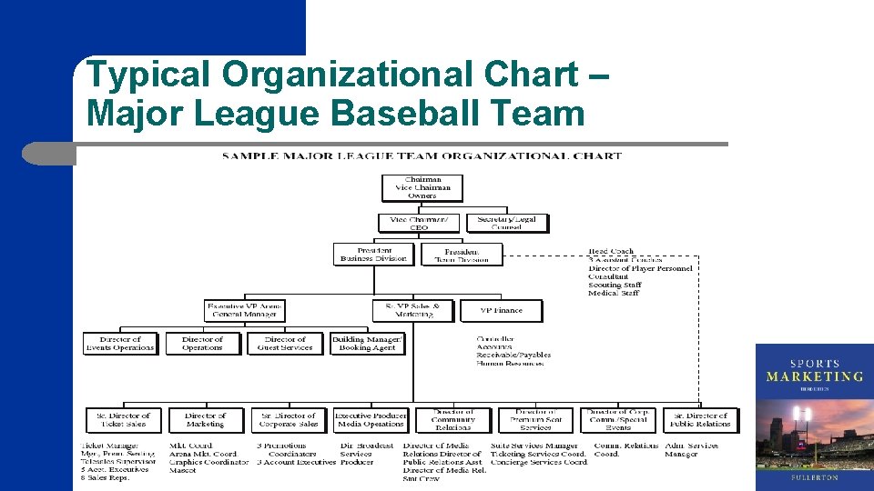 Typical Organizational Chart – Major League Baseball Team 