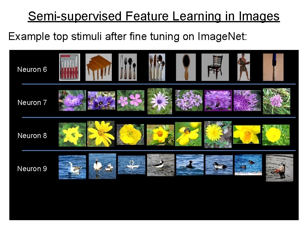 Semi-supervised Feature Learning in Images Example top stimuli after fine tuning on Image. Net: Semi-supervised Feature Learning in Images Example top stimuli after fine tuning on Image. Net: