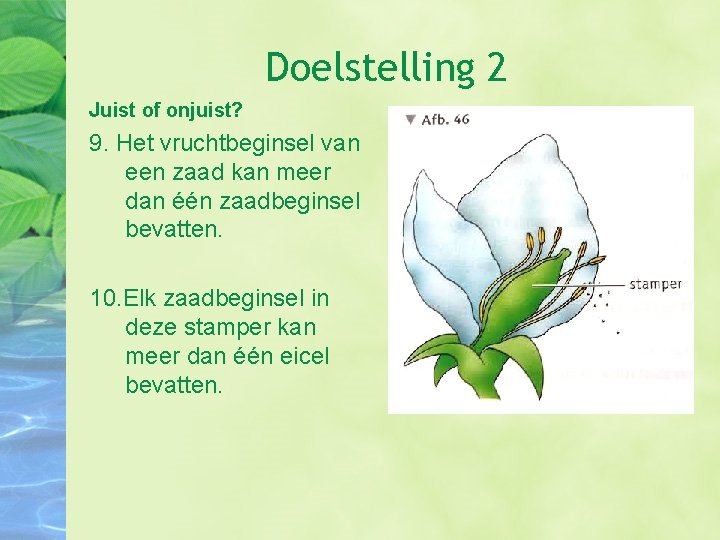 Doelstelling 2 Juist of onjuist? 9. Het vruchtbeginsel van een zaad kan meer dan