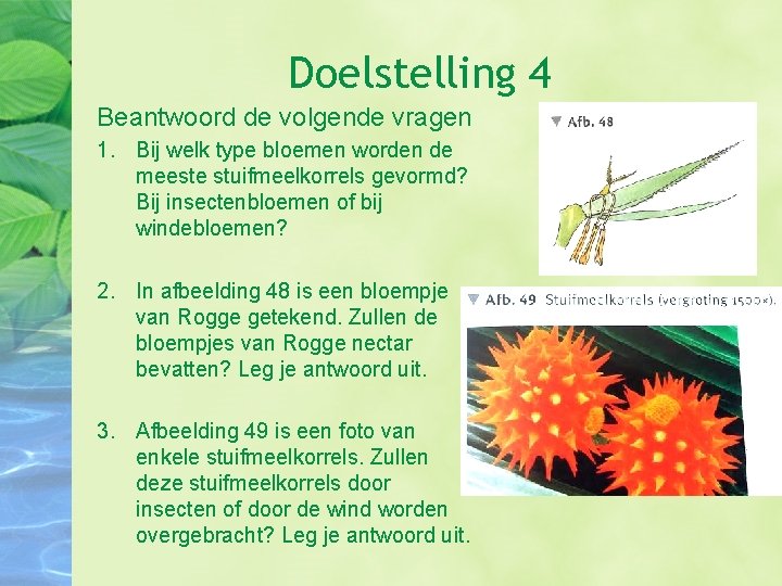 Doelstelling 4 Beantwoord de volgende vragen 1. Bij welk type bloemen worden de meeste