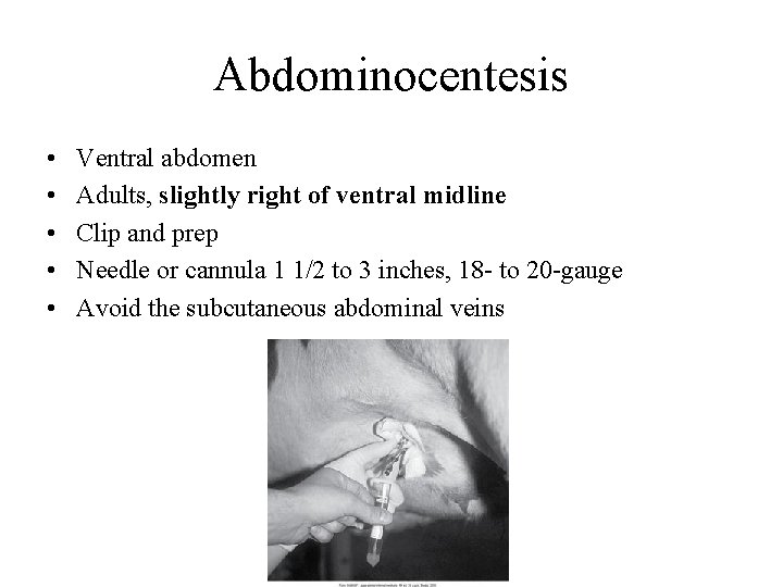 Abdominocentesis • • • Ventral abdomen Adults, slightly right of ventral midline Clip and