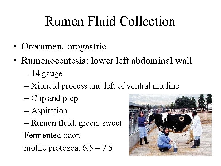 Rumen Fluid Collection • Ororumen/ orogastric • Rumenocentesis: lower left abdominal wall – 14