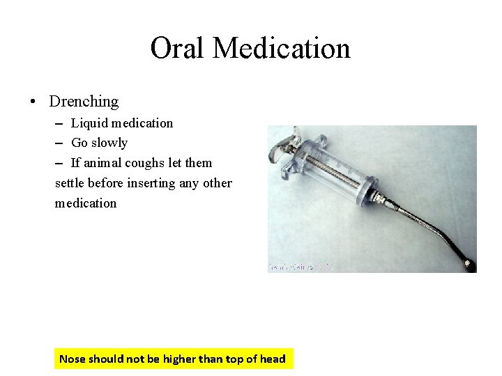 Oral Medication • Drenching – Liquid medication – Go slowly – If animal coughs