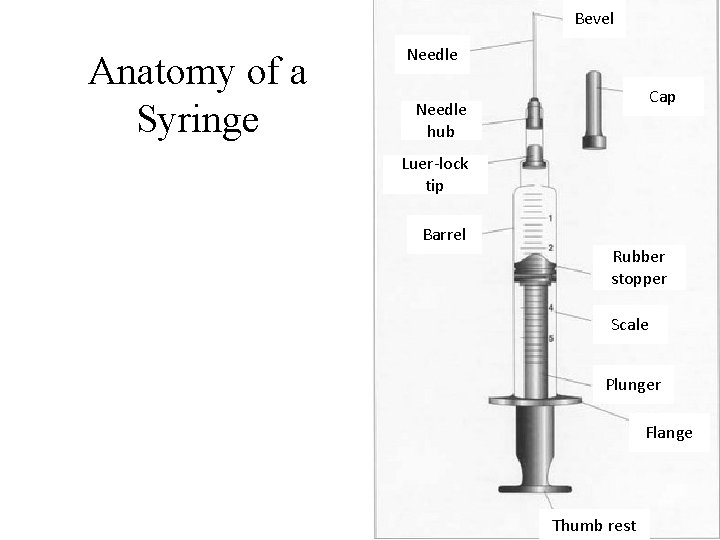 Bevel Anatomy of a Syringe Needle Cap Needle hub Luer-lock tip Barrel Rubber stopper