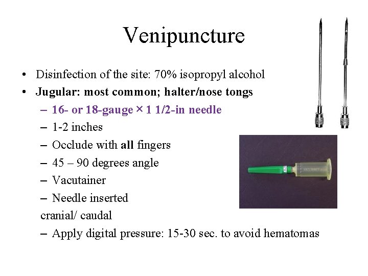 Venipuncture • Disinfection of the site: 70% isopropyl alcohol • Jugular: most common; halter/nose
