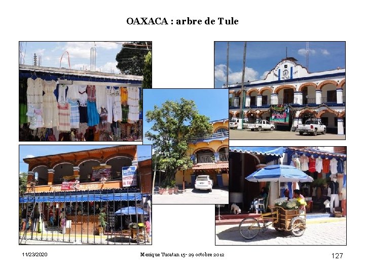 OAXACA : arbre de Tule 11/23/2020 Mexique Yucatan 15 - 29 octobre 2012 127