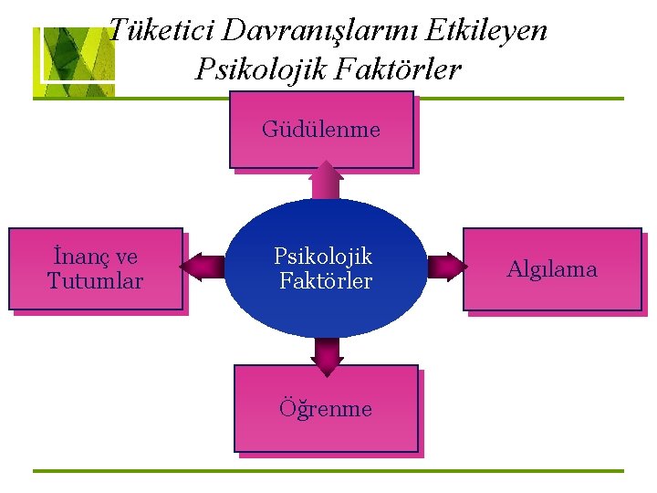 Tüketici Davranışlarını Etkileyen Psikolojik Faktörler Güdülenme İnanç ve Tutumlar Psikolojik Faktörler Öğrenme Algılama 