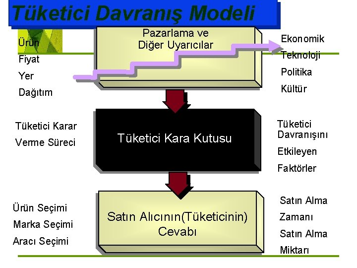 Tüketici Davranış Modeli Ürün Pazarlama ve Diğer Uyarıcılar Ekonomik Fiyat Teknoloji Yer Politika Dağıtım